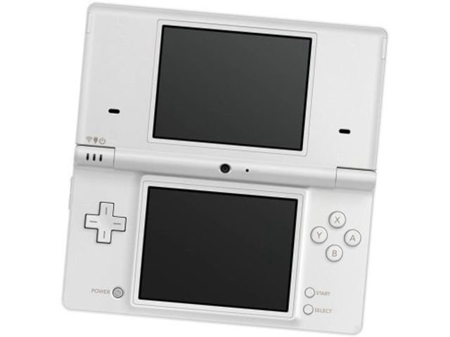 Could the Nintendo DSi replace your camera and iPod?
